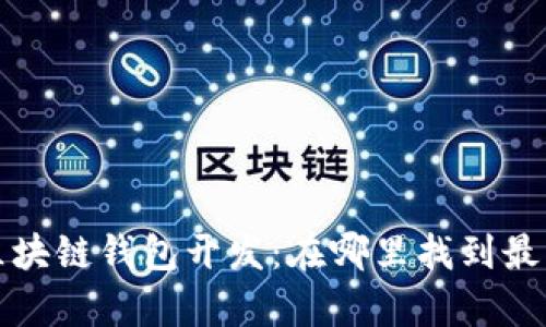 全面解析区块链钱包开发:在哪里找到最佳解决方案