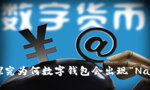 数字钱包里的NaN：探究为何数字钱包会出现“NaN”状态及其解决方法