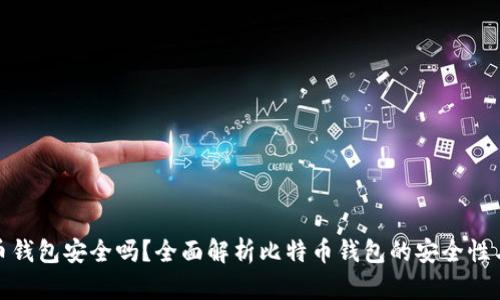 登录比特币钱包安全吗？全面解析比特币钱包的安全性与防护措施