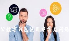 全面解析对公数字钱包使用中常见问题及解决方