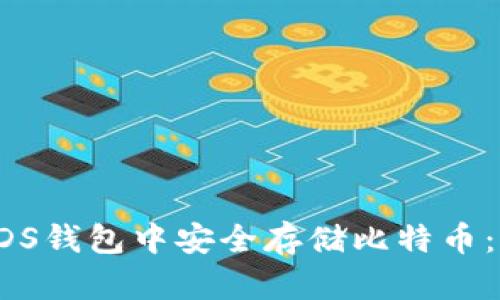 如何在VDS钱包中安全存储比特币：详尽指南