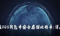 如何在VDS钱包中安全存储比特币：详尽指南