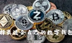   2023年数字钱包的全面解析：最佳选择与使用指