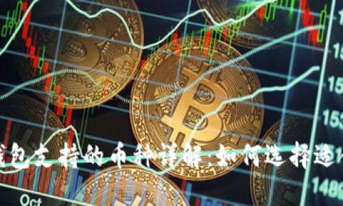 加密货币钱包支持的币种详解：如何选择适合您的钱包