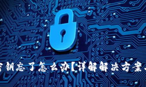 数字钱包密钥忘了怎么办？详解解决方案与预防措施