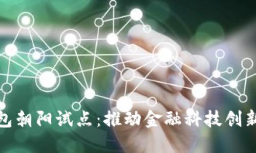 数字钱包朝阳试点：推动金融科技创新与普及