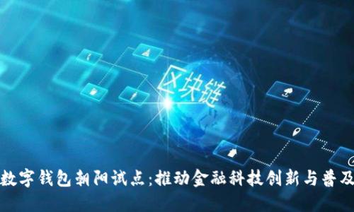 数字钱包朝阳试点：推动金融科技创新与普及