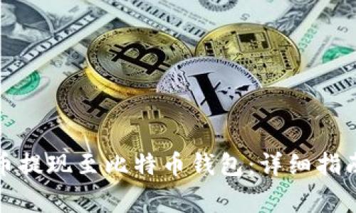 如何将莱特币提现至比特币钱包：详细指南与注意事项