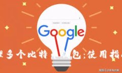 如何有效管理多个比特币钱包：使用指南与最佳