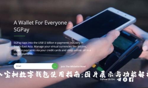 八宝树数字钱包使用指南：图片展示与功能解析