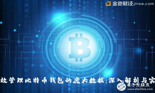 如何有效管理比特币钱包的庞大数据：深入解析与实用技巧