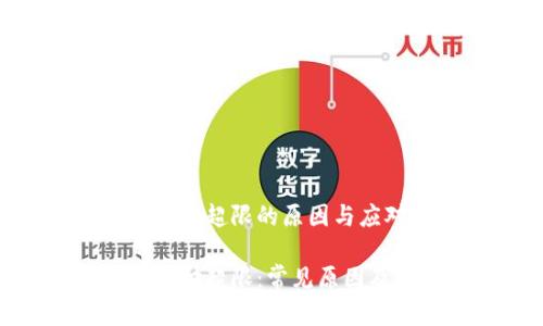 数字钱包支付超限的原因与应对策略

数字钱包支付超限：常见原因及解决方案