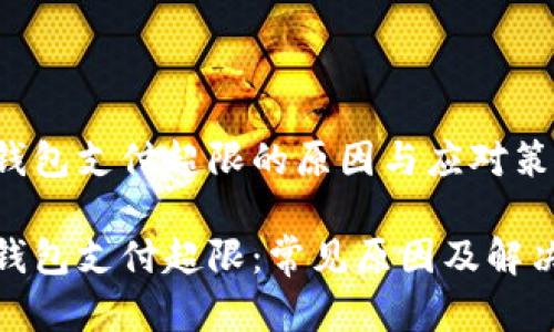数字钱包支付超限的原因与应对策略

数字钱包支付超限：常见原因及解决方案