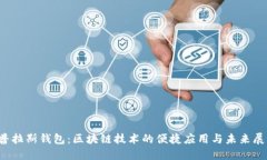 普拉斯钱包:区块链技术的便捷应用与未来展望