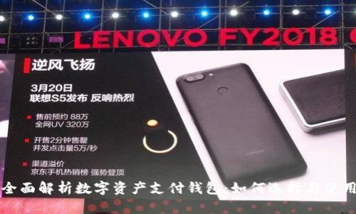 全面解析数字资产支付钱包:如何选择与使用