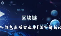 为什么将比特币放入钱包是明智之举？深入解析