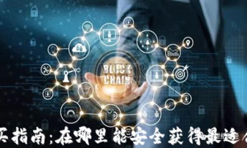 
区块链钱包购买指南：在哪里能安全获得最适合你的数字钱包