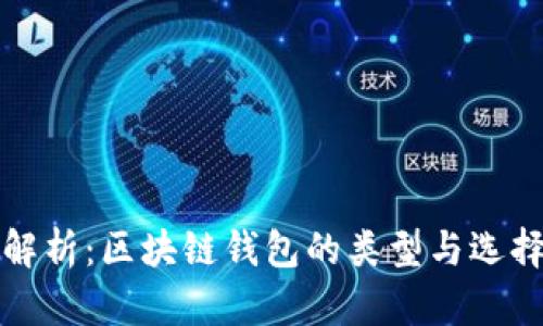 全面解析：区块链钱包的类型与选择指南