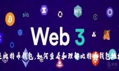 什么是比特币钱包，如何查看和理解比特币钱包