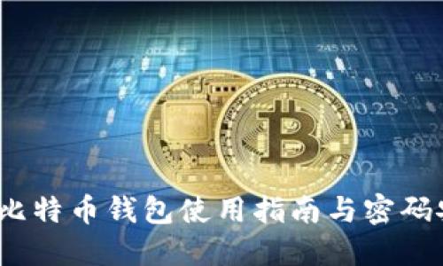 2023年神仙比特币钱包使用指南与密码安全保护策略