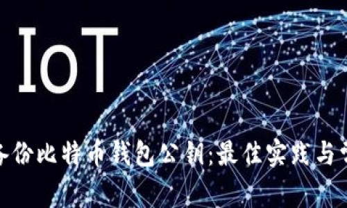 : 如何安全备份比特币钱包公钥：最佳实践与常见问题解答