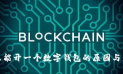 一个人只能开一个数字钱包的原因与影响探讨