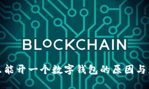 一个人只能开一个数字钱包的原因与影响探讨