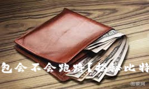   放比特币的钱包会不会跑路？揭秘比特币存储的安全性
