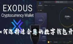 全面指南：如何选择适合您的数字钱包开发解决