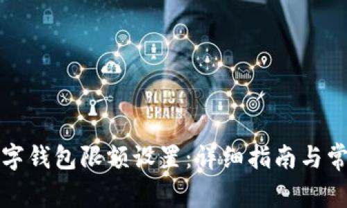 如何申请数字钱包限额设置：详细指南与常见问题解答
