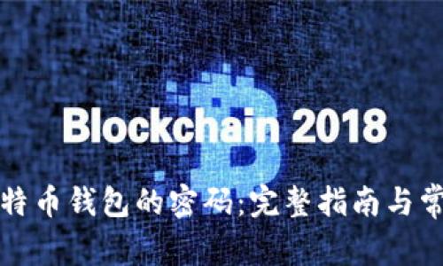 如何找回比特币钱包的密码:完整指南与常见解决办法