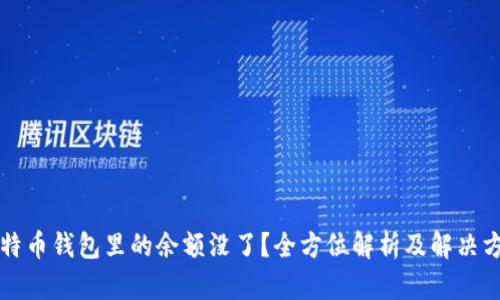 比特币钱包里的余额没了？全方位解析及解决方案