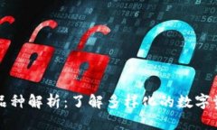 区块链钱包品种解析:了解多样化的数字资产存