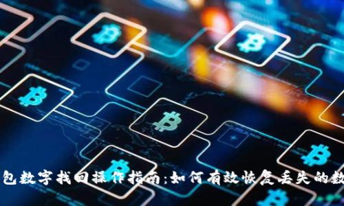 电子钱包数字找回操作指南：如何有效恢复丢失的数字资产