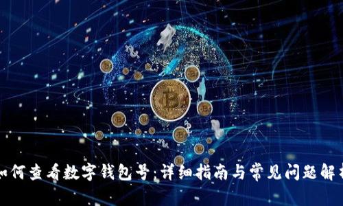 如何查看数字钱包号:详细指南与常见问题解析