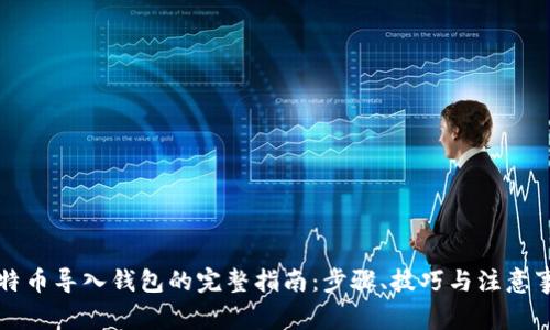 比特币导入钱包的完整指南:步骤、技巧与注意事项