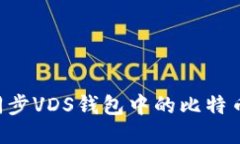 如何高效同步VDS钱包中的比特币:全面指南