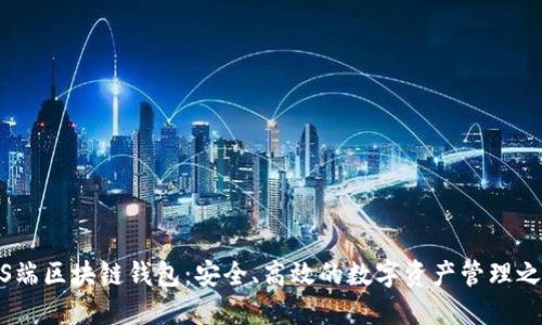 iOS端区块链钱包:安全、高效的数字资产管理之道