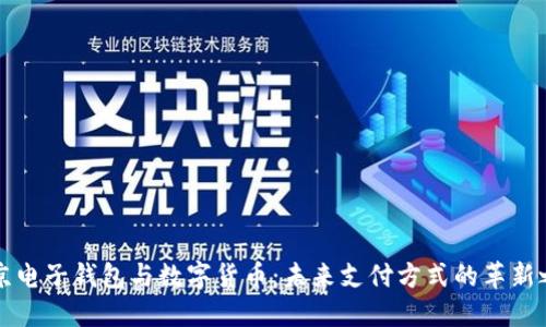 南京电子钱包与数字货币:未来支付方式的革新之路