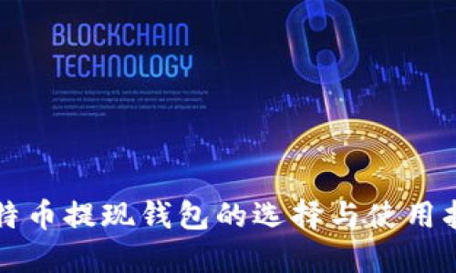 比特币提现钱包的选择与使用指南