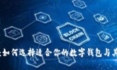 数字钱包的网络：如何选择适合你的数字钱包与