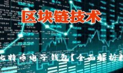 如何选择最适合你的比特币电子钱包？全面解析