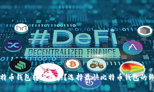 什么比特币钱包转币最快？选择最快比特币钱包的终极指南