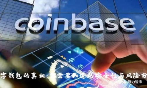 数字钱包的真相:你需要知道的安全性与风险分析