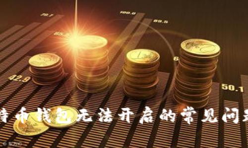 解决比特币钱包无法开启的常见问题及方法
