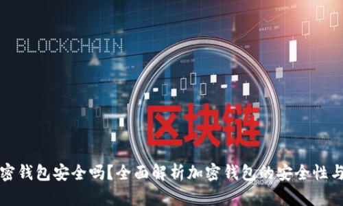 绑定加密钱包安全吗?全面解析加密钱包的安全性与可靠性