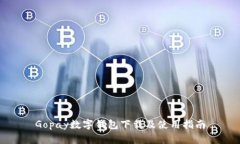Gopay数字钱包下载及使用指南