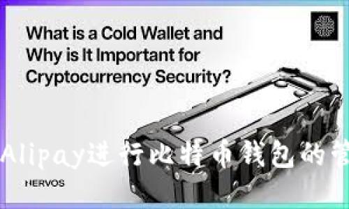 如何使用Alipay进行比特币钱包的管理与交易