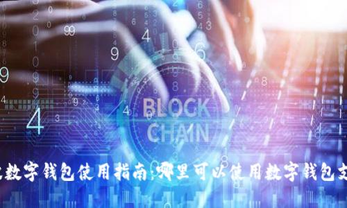 宁波数字钱包使用指南：哪里可以使用数字钱包支付？