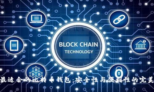 选择最适合的比特币钱包：安全性与便利性的完美平衡